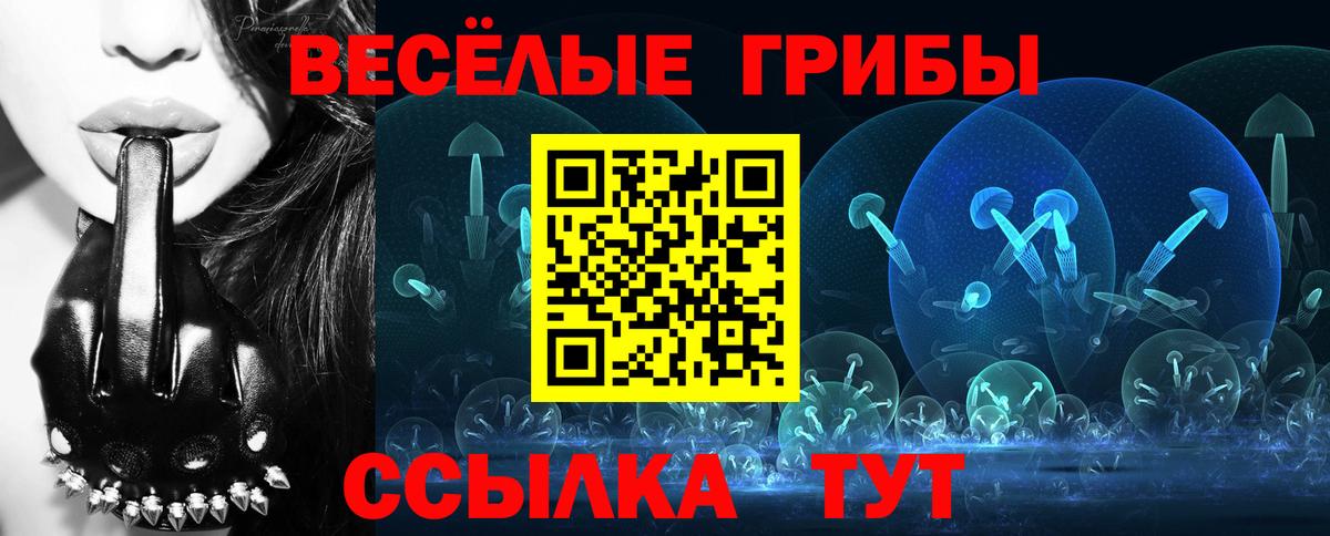 Кохма  Галлюциногенные грибы Cubensis  Галлюциногенные грибы GOLDEN TEACHER  Вход с VPN 